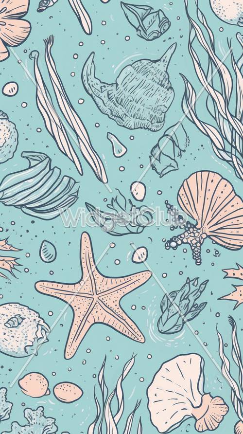 Conchas coloridas do mar e padrão de estrela do mar