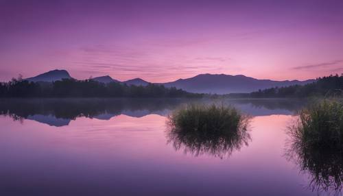 A silent, pristine lake mirroring the serene purple hues of the twilight sky overhead. Wallpaper [e22bc570ecef47389810]