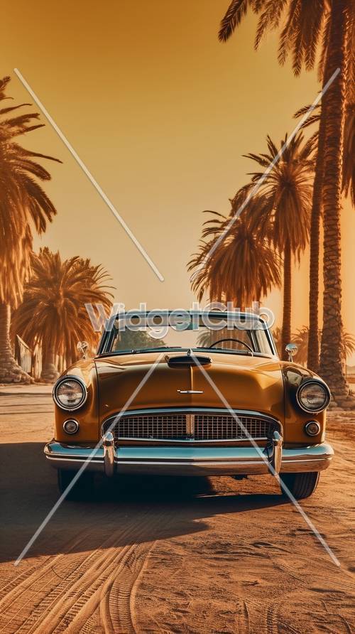 陽光明媚的棕櫚樹下的金色經典車