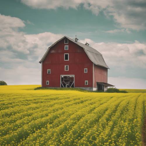 A lone red barn stands amidst the green fields of a farm, with blooming yellow mustard flowers indicating a minimalist spring.