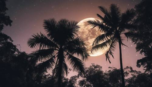 A night scene in a tropical rainforest with a full, luminous moon highlighting the silhouettes of towering trees.