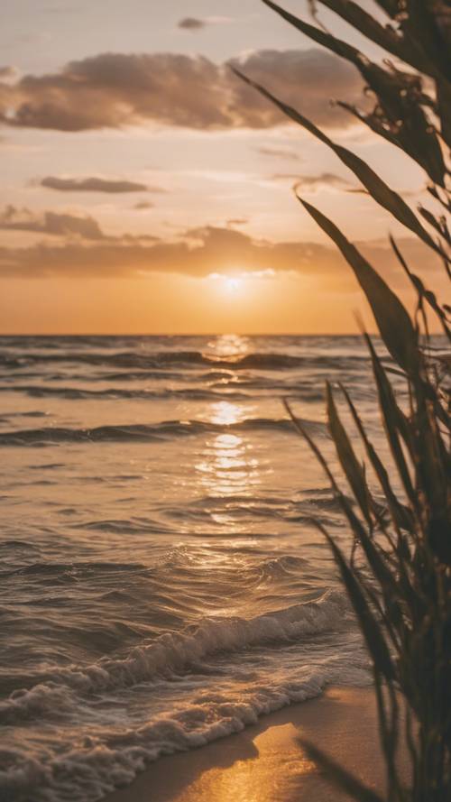 Uma vista sonhadora de um pôr do sol dourado refletindo no oceano calmo no verão.