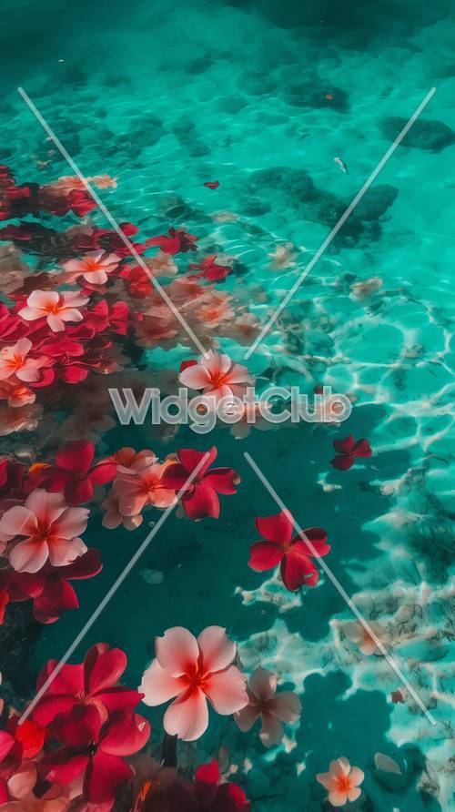 Tropical Flowers Floating in Crystal Clear Water