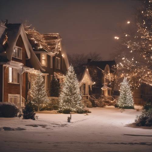 Ein Viertel mit Häusern, in deren Vorgärten Weihnachtsbäume stehen, die mit festlichen Lichtern beleuchtet sind.