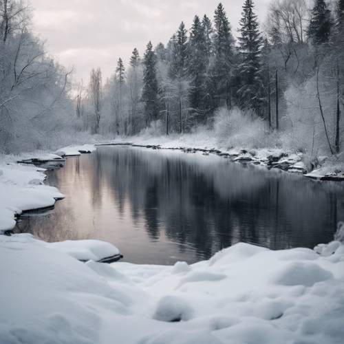 A black lagoon at the edge of a snow-covered forest during a cold winter day.