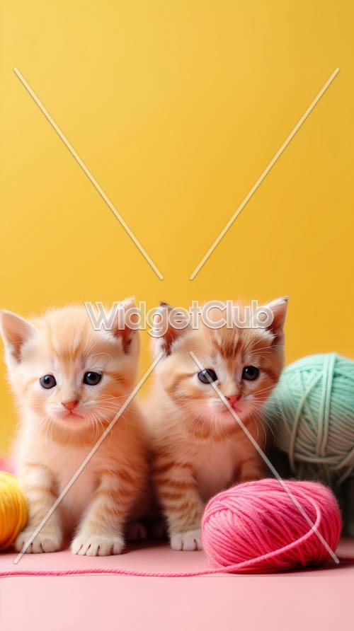 Hai chú mèo con dễ thương với những quả bóng sợi đầy màu sắc