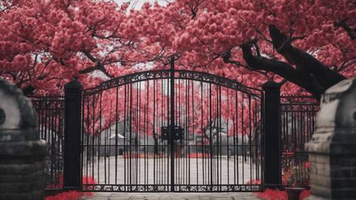 Vibrante árbol de cerezo rojo rodeado por una puerta de hierro forjado negro.