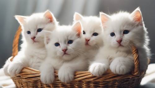 Eine Gruppe flauschiger weißer Kätzchen, die sich in einem gemütlichen Korb aneinanderkuscheln.