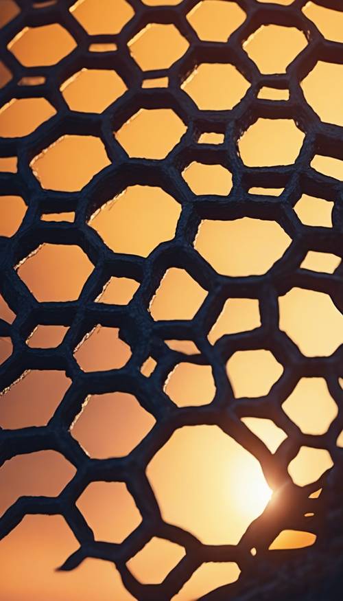 View of a large, dark honeycomb pattern reflecting the light of a late sunset.