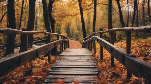 A picturesque scene of a small wooden bridge over a stream in an autumn forest.