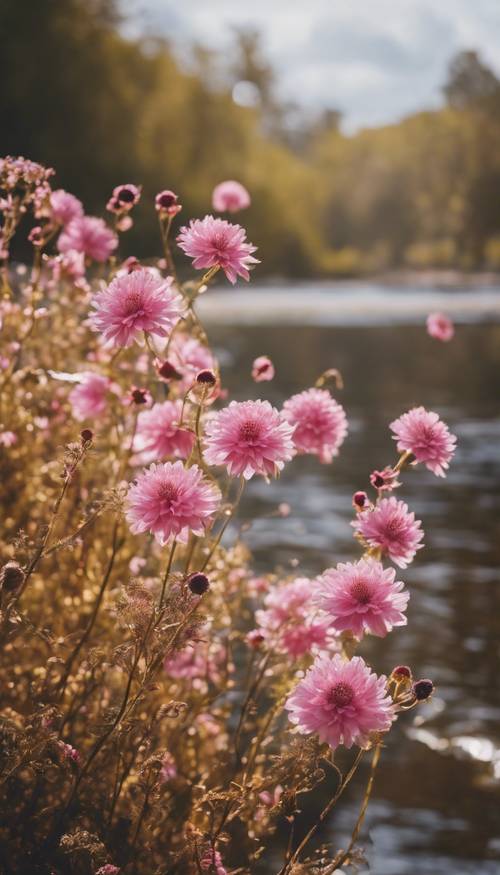 Numerous wild pink and gold flowers growing by a river.
