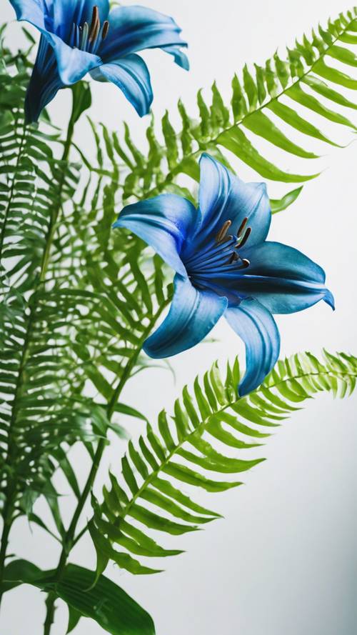 A minimalist bouquet of blue lilies and green ferns against a bright white background.
