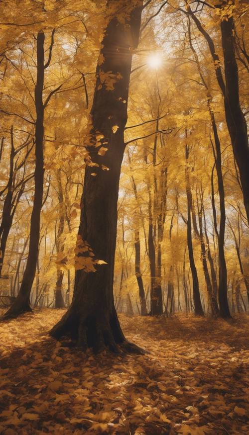 Hutan pepohonan musim gugur dengan dedaunan berubah menjadi emas cemerlang