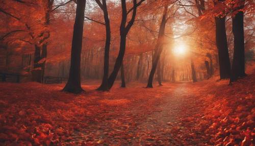 A forest path covered with red and orange autumn leaves during sunset.