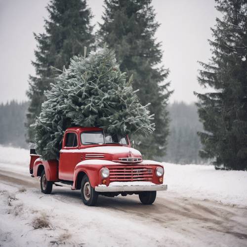 An old red pick up truck carrying a freshly cut Christmas tree in a snow-covered countryside.