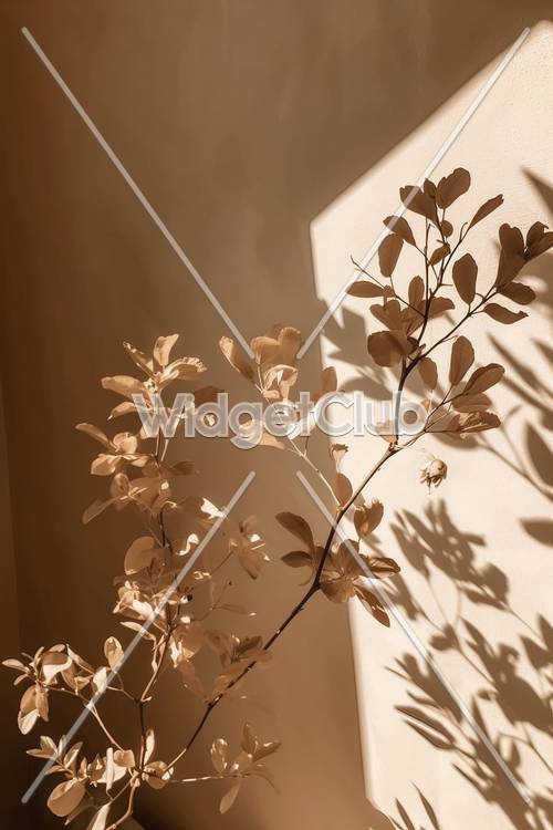 Sonnenbeschienene Blätter und Schatten