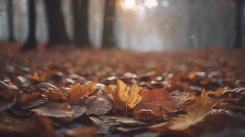 A tranquil, foggy autumn evening with an inspiring quote written in the fallen leaves.