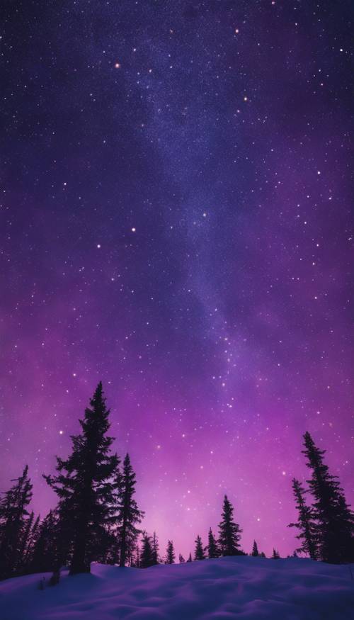 Ein leuchtend dunkelvioletter Abendhimmel mit funkelnden Sternen und tanzenden Nordlichtern