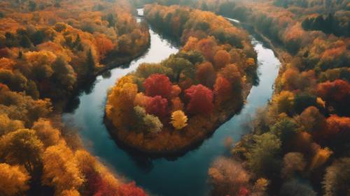 Ujęcie z góry przedstawiające wijącą się rzekę, której brzegi ozdobione są drzewami, co ukazuje eksplozję jesiennych kolorów.