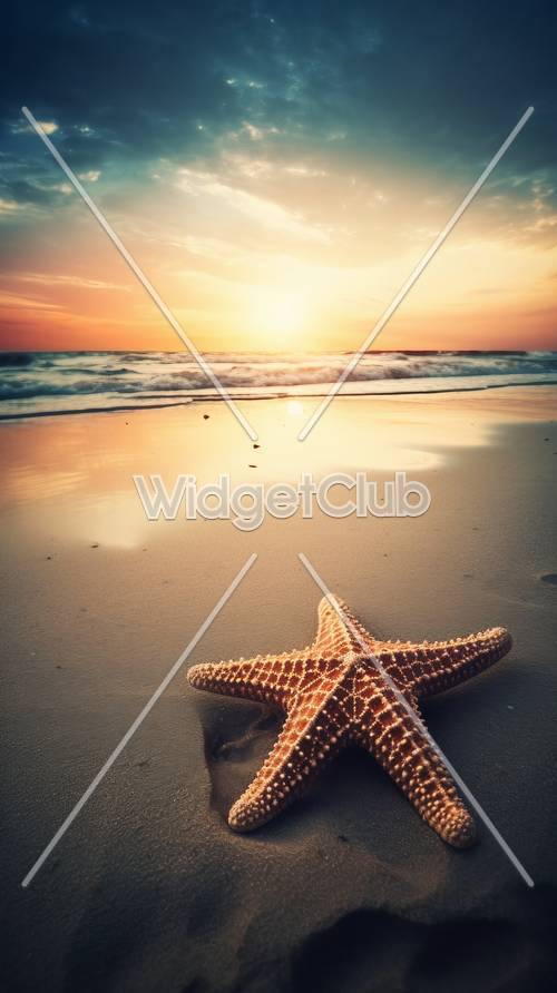 Escena de playa al atardecer y estrella de mar