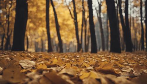 Uma floresta de outono apresentando uma paleta de folhas caídas em amarelo escuro.