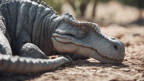 A gentle image of a gray dinosaur napping in the cool shade on a sunny day.