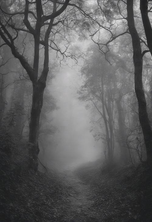 Un misterioso sendero forestal envuelto en niebla, en tonos monocromáticos.