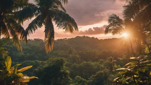 Matahari terbenam tropis yang indah memberikan bayangan halus di hutan lebat.