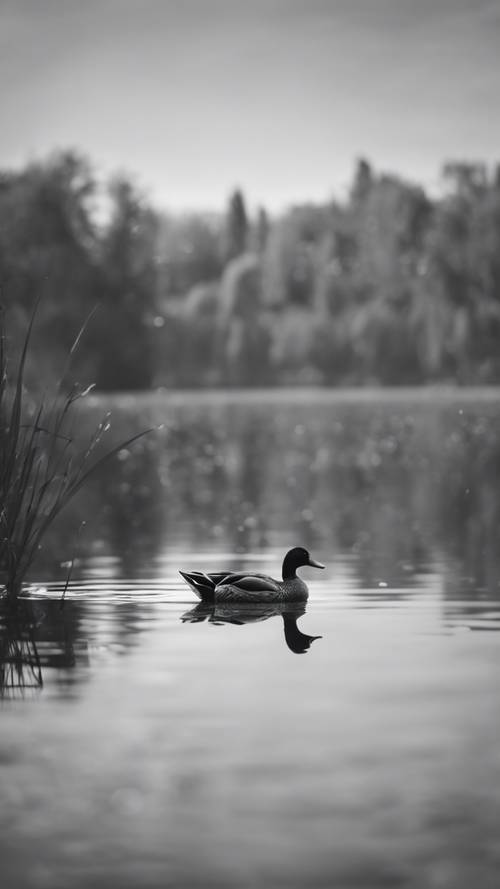 Black and white scene of a peaceful lake with a single floating duck, in minimalistic style.