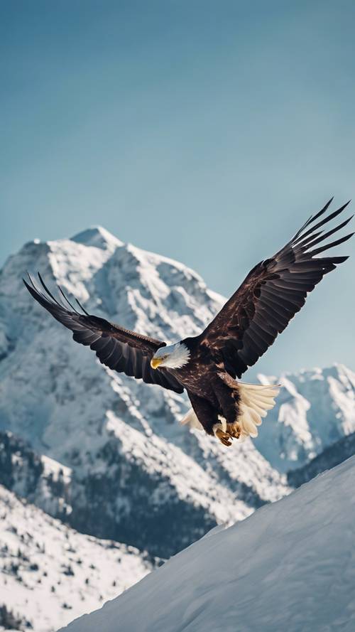 Un majestuoso águila calva volando sobre montañas cubiertas de nieve contra un cielo azul claro.