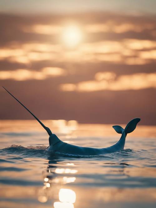 Um narval nadando com bordas douradas sob o sol da meia-noite no Oceano Ártico.