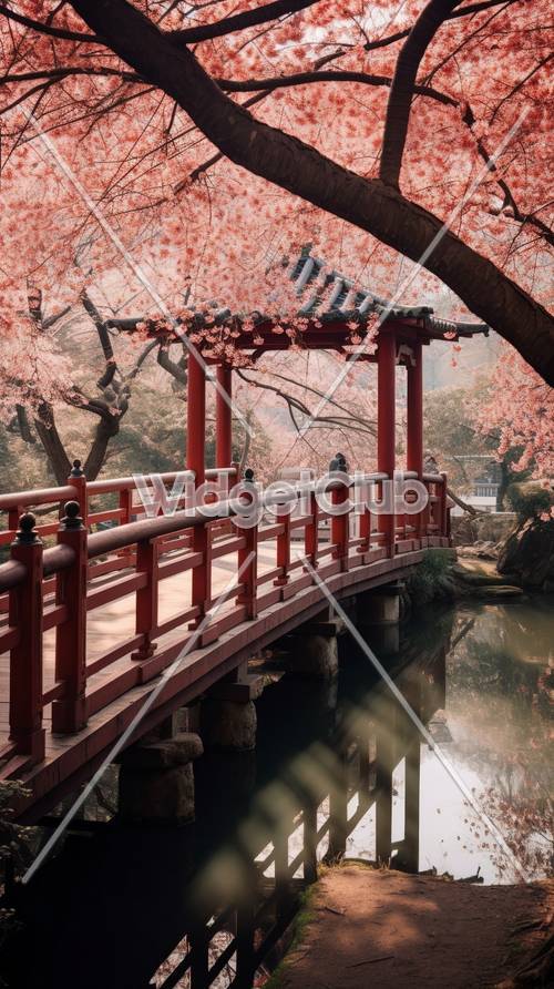 Jembatan Sakura yang indah di Jepang