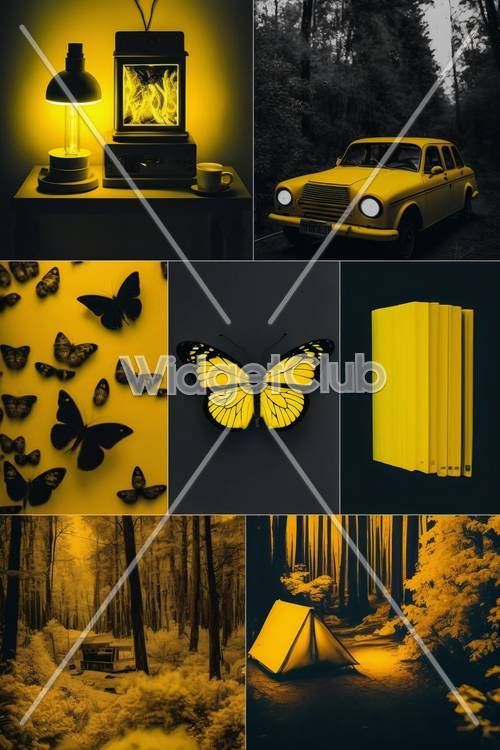 Yellow Moments: A Cozy Collection