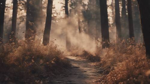 A captivating image of the smoky trails left by a bewitched wand.