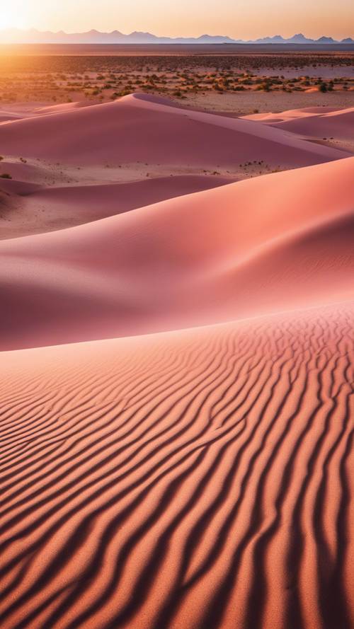 Le soleil se couche sur les dunes de sable rose et doré dans un paysage désertique.