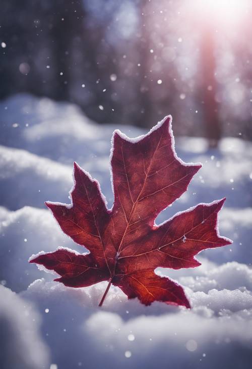 Representação fotorrealista de uma folha de bordo roxa profunda em um banco de neve branco contrastante.