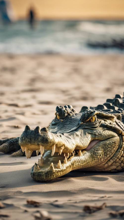 A collision of civilizations, a crocodile interrupting a crowded beach.