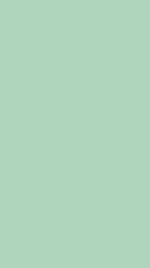 Soft Green Minimalist Background Tapet [54786b8ccdec4d0d8fdb]