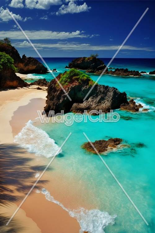 Tropical Beach Paradise with Clear Blue Water and Rocks