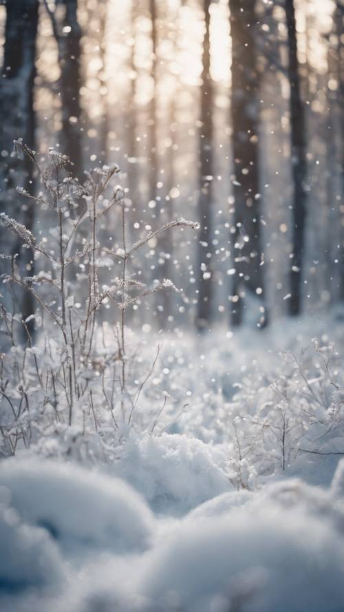 A winter forest where snowflakes are gently fluttering down.