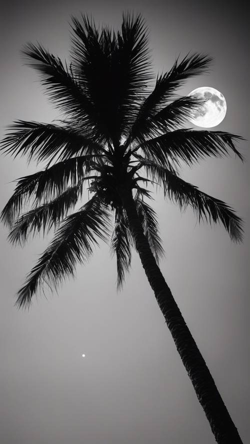 Siluet tenang pohon palem tinggi menghadap bulan purnama, digambarkan dalam warna hitam dan putih.