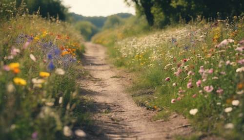 Uma estrada rural idílica repleta de flores silvestres coloridas balançando na suave brisa da primavera.