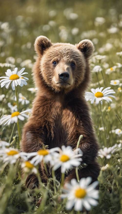 A brown bear cub sitting adorably in a field of daisies under a clear blue sky.