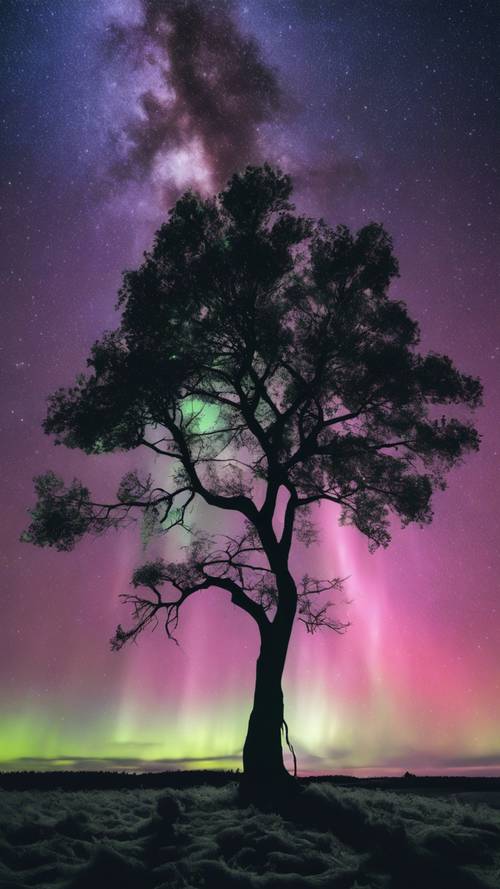 La silueta de un solo árbol bajo un deslumbrante despliegue de auroras boreales en un cielo nocturno estrellado.