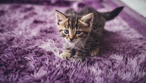 Um gatinho brincalhão explorando a superfície texturizada de um tapete de couro roxo.