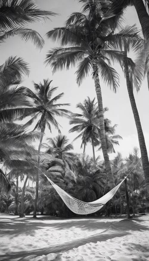 Image of a solitary hammock swinging between two tropical palm trees, in black and white.