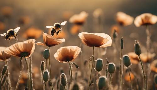 A world of honey bees attracted to a field of brown poppies.