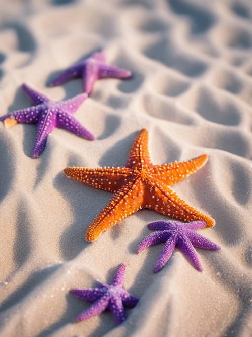 A group of starfish, some featured in cool purple and others in brilliant orange, nestled in white beach sands.