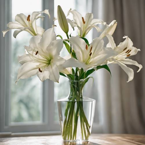 Elegancki strumień białych lilii z długimi łodygami w wysokim, karbowanym szklanym wazonie.