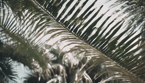 Zbliżenie na liście białej palmy delikatnie szeleszczące na wietrze